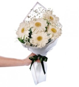 7 beyaz gerbera buketi